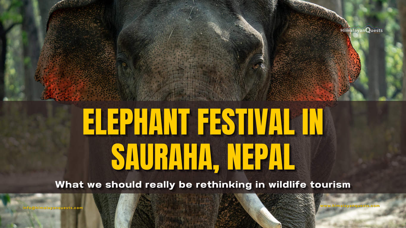 Ethical Wildlife Tourism in Nepal: Chitwan Elephant Festival